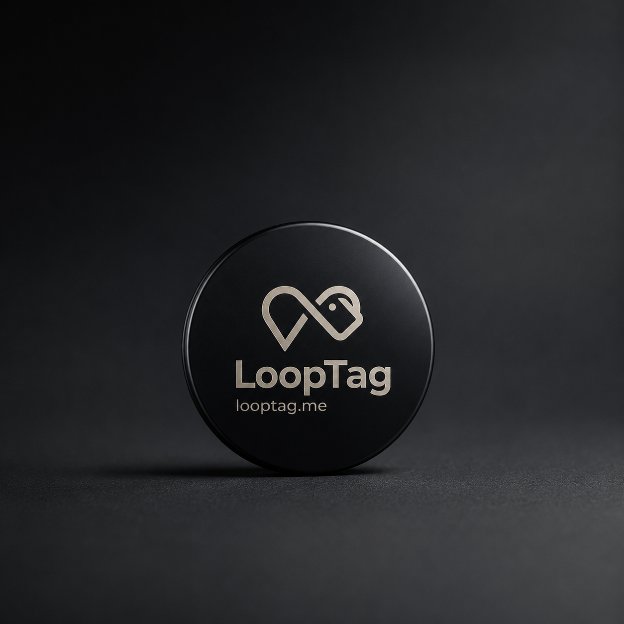 LoopTag Disc
